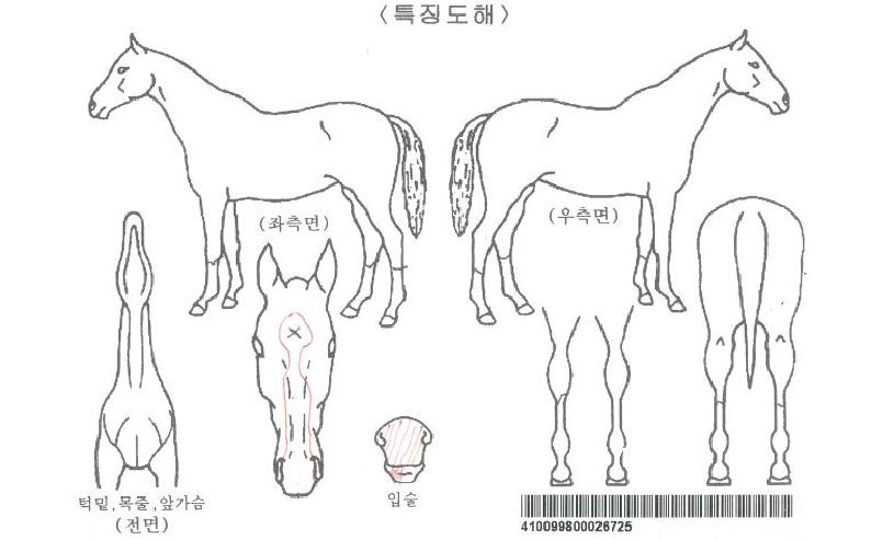 ���������ڸ��� ����,���,�޸�,�λ�,�ٸ��� Ư¡����