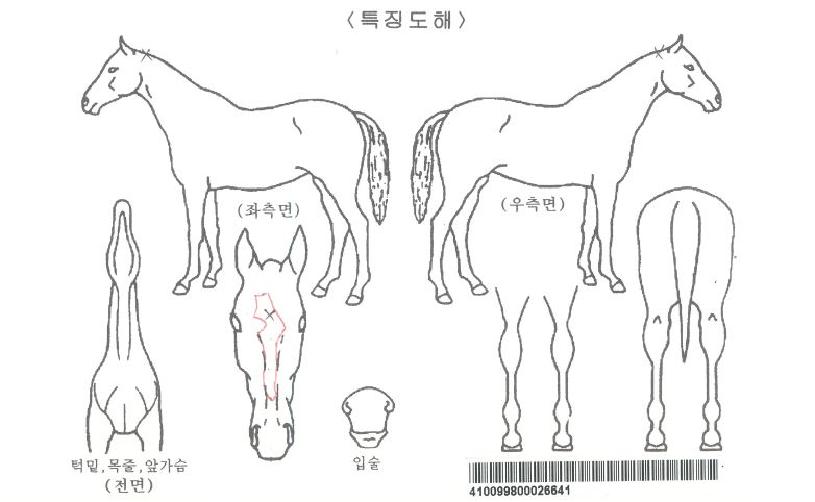 ±Ý¿ùÀÚ¸¶ÀÇ Ãø¸é,¿ì¸é,µÞ¸é,µÎ»ó,´Ù¸®ÀÇ Æ¯Â¡µµÇØ