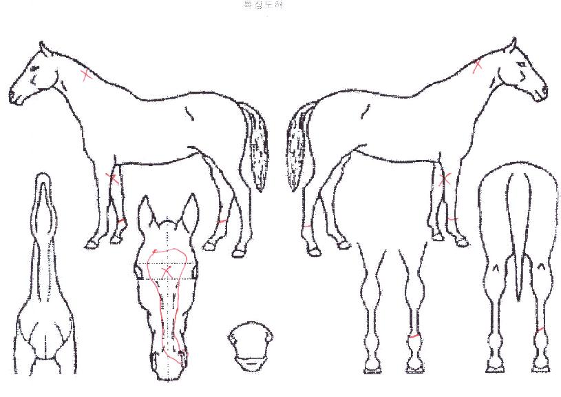 �ö���ũ����� ����,���,�޸�,�λ�,�ٸ��� Ư¡����