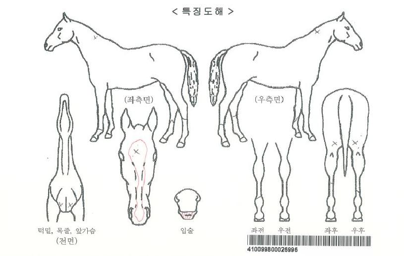 ť�ǵ座�ڸ��� ����,���,�޸�,�λ�,�ٸ��� Ư¡����