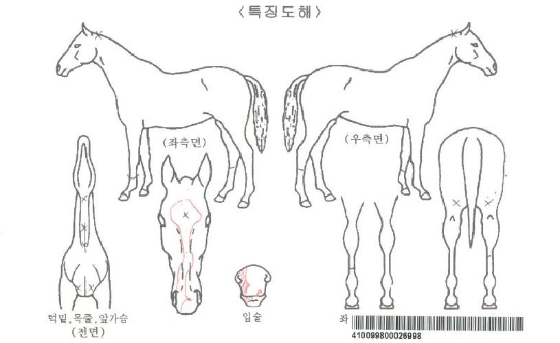 ��Ŭ���������� ����,���,�޸�,�λ�,�ٸ��� Ư¡����