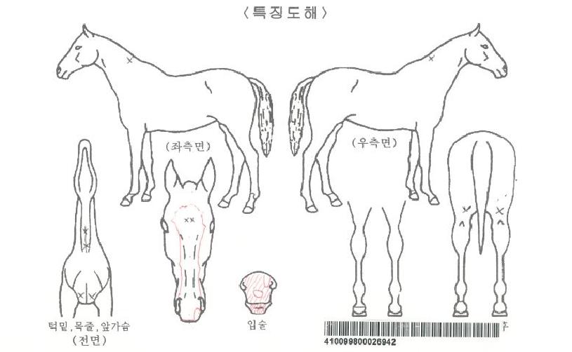 ��Ÿ������ ����,���,�޸�,�λ�,�ٸ��� Ư¡����