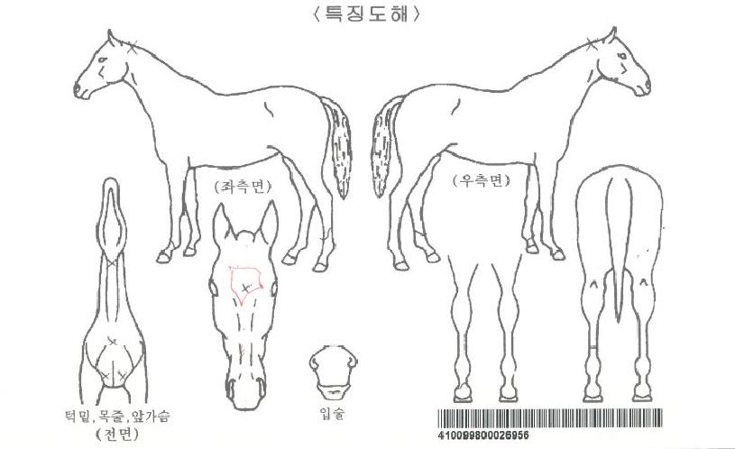 ÇØ°¡´Þ·Á¿Â´ÙÀÇ Ãø¸é,¿ì¸é,µÞ¸é,µÎ»ó,´Ù¸®ÀÇ Æ¯Â¡µµÇØ