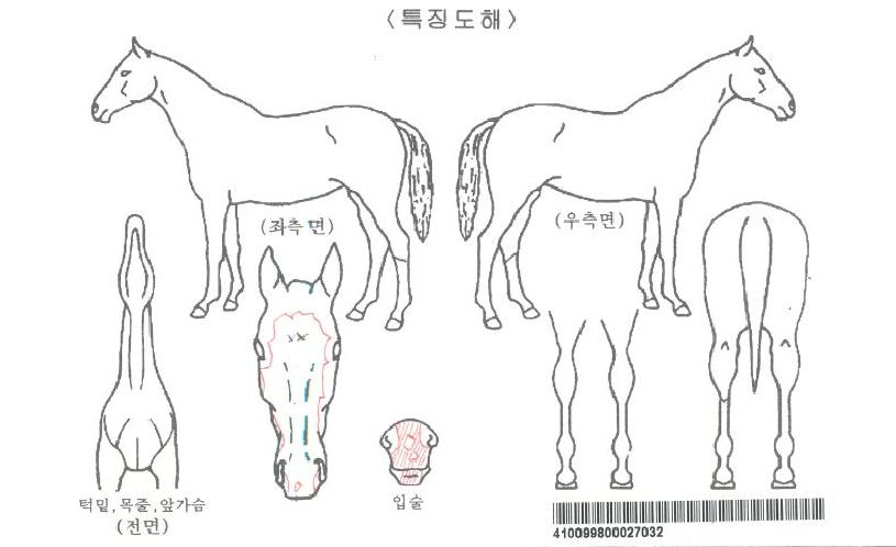 �Ҷ���ũ����ڸ��� ����,���,�޸�,�λ�,�ٸ��� Ư¡����