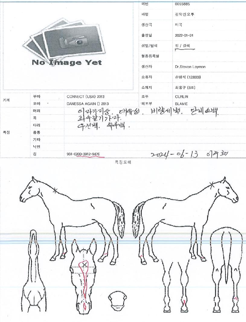 °ü¾Ç»ê¿ÀÅõÀÇ Ãø¸é,¿ì¸é,µÞ¸é,µÎ»ó,´Ù¸®ÀÇ Æ¯Â¡µµÇØ