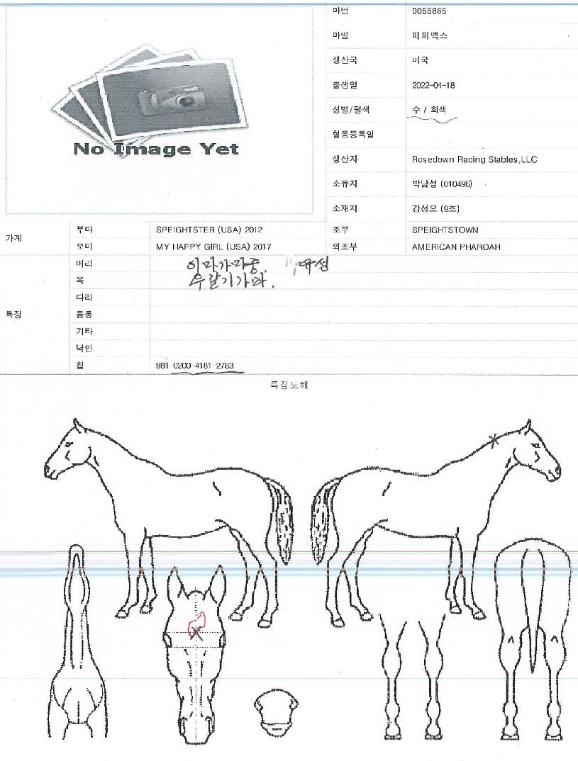 ÆäÆÛ¿¢½ºÀÇ Ãø¸é,¿ì¸é,µÞ¸é,µÎ»ó,´Ù¸®ÀÇ Æ¯Â¡µµÇØ