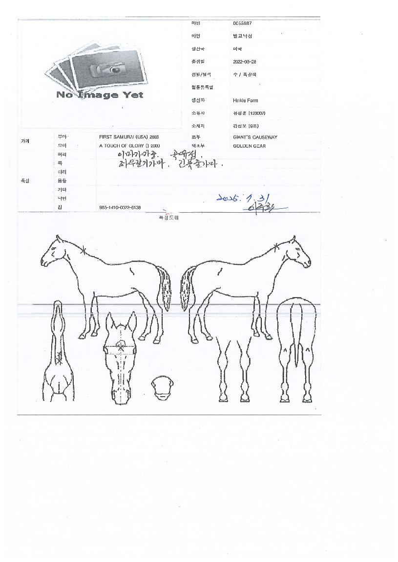 ���������� ����,���,�޸�,�λ�,�ٸ��� Ư¡����