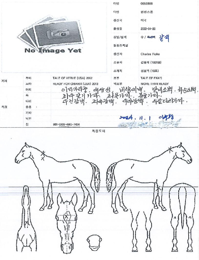 ¿øÆò½ºÅèÀÇ Ãø¸é,¿ì¸é,µÞ¸é,µÎ»ó,´Ù¸®ÀÇ Æ¯Â¡µµÇØ