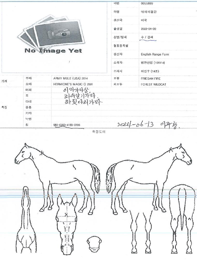 ³×À̺ñĸƾÀÇ Ãø¸é,¿ì¸é,µÞ¸é,µÎ»ó,´Ù¸®ÀÇ Æ¯Â¡µµÇØ