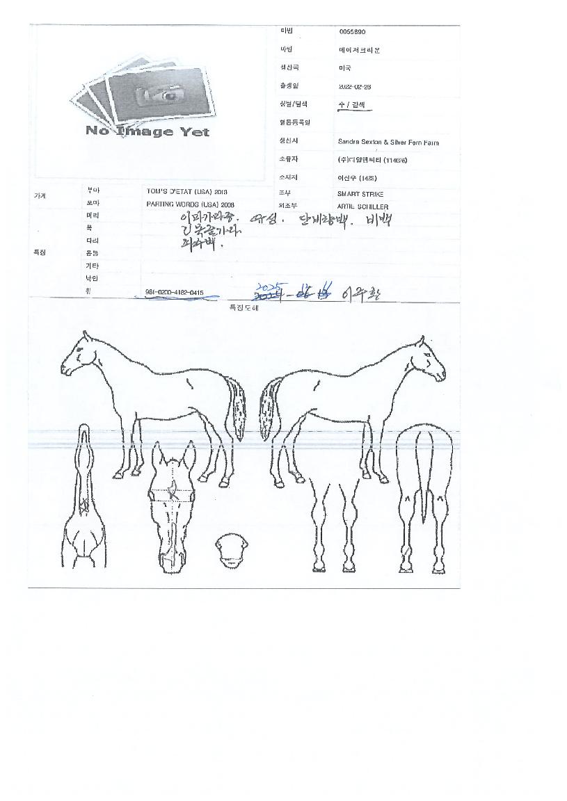 ¸ÞÀÌÀúÅ©¶ó¿îÀÇ Ãø¸é,¿ì¸é,µÞ¸é,µÎ»ó,´Ù¸®ÀÇ Æ¯Â¡µµÇØ