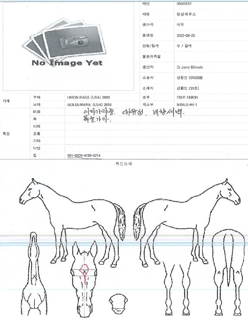 �������콺�� ����,���,�޸�,�λ�,�ٸ��� Ư¡����