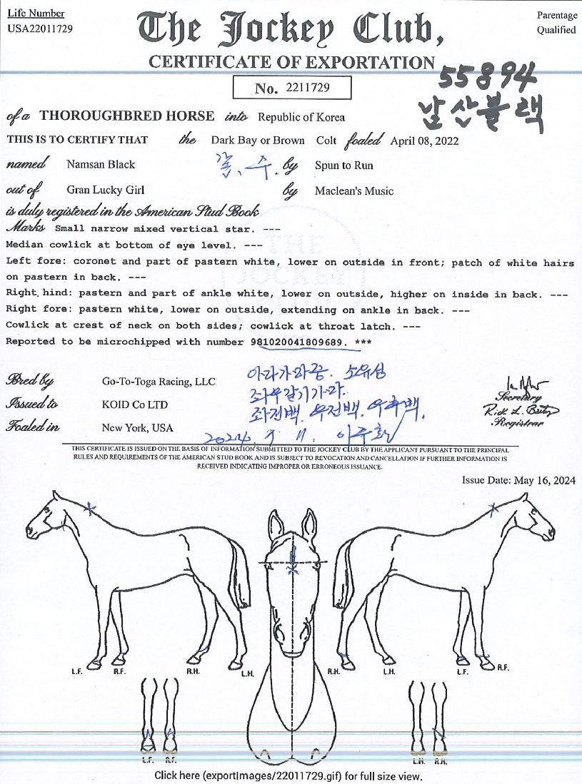 ��������� ����,���,�޸�,�λ�,�ٸ��� Ư¡����