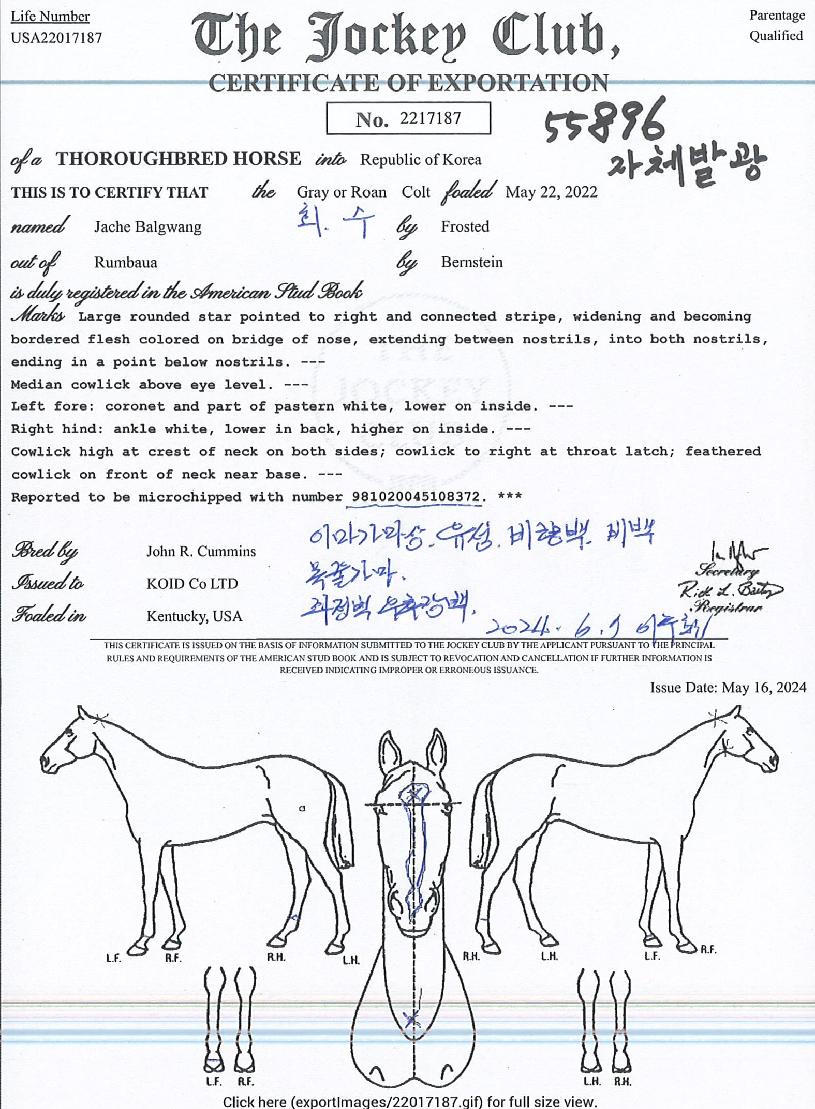 ÀÚü¹ß±¤ÀÇ Ãø¸é,¿ì¸é,µÞ¸é,µÎ»ó,´Ù¸®ÀÇ Æ¯Â¡µµÇØ