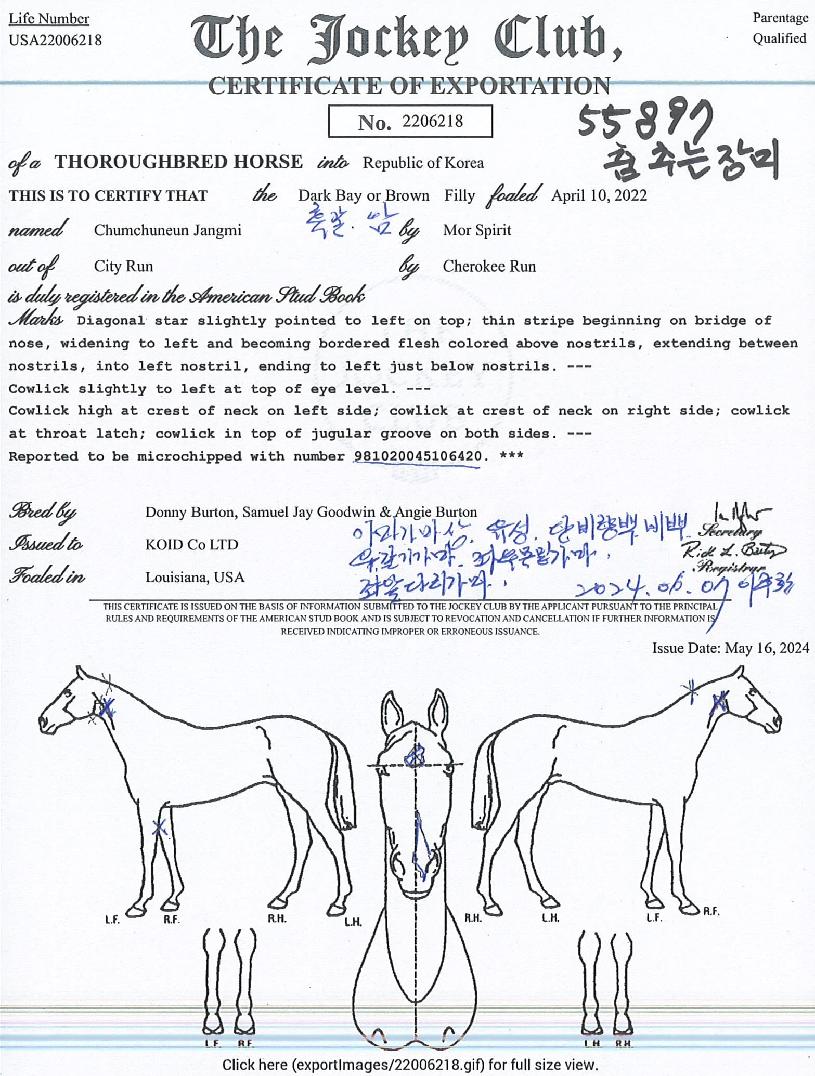 ���ߴ������ ����,���,�޸�,�λ�,�ٸ��� Ư¡����