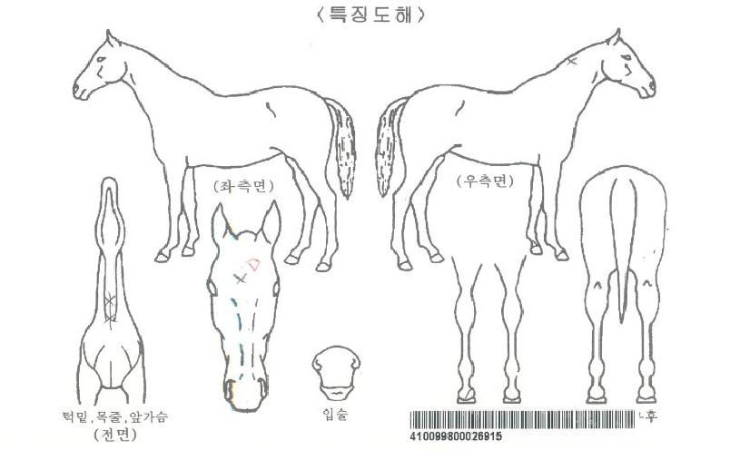 Å×ÀÌÅ©ÇÏÆ®ÀÚ¸¶ÀÇ Ãø¸é,¿ì¸é,µÞ¸é,µÎ»ó,´Ù¸®ÀÇ Æ¯Â¡µµÇØ