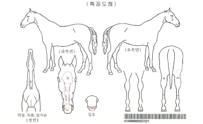 �н�Ʈ�ε��� ����,���,�޸�,�λ�,�ٸ��� Ư¡����