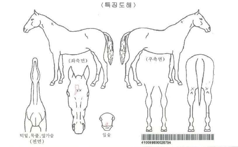 �����Ŀ��ڸ��� ����,���,�޸�,�λ�,�ٸ��� Ư¡����