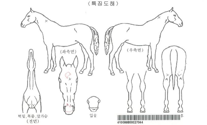 ���͹����� ����,���,�޸�,�λ�,�ٸ��� Ư¡����