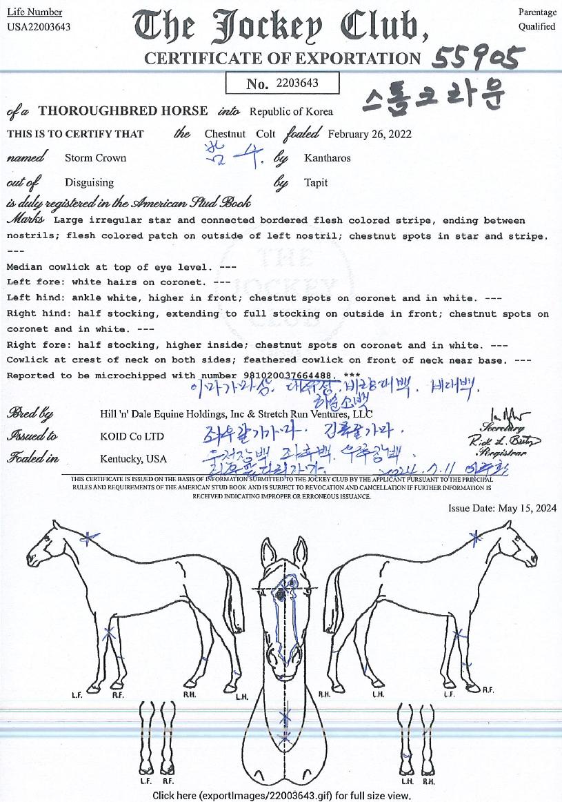 ����ũ����� ����,���,�޸�,�λ�,�ٸ��� Ư¡����