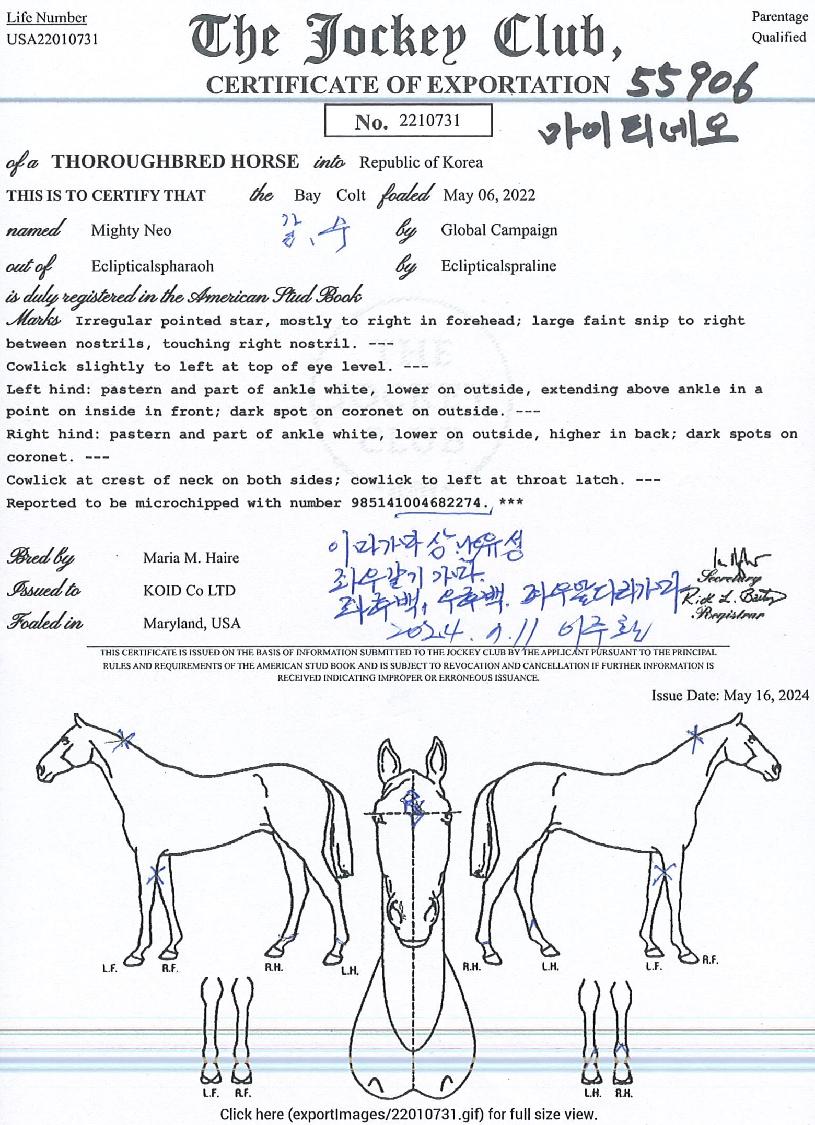 ����Ƽ�׿��� ����,���,�޸�,�λ�,�ٸ��� Ư¡����