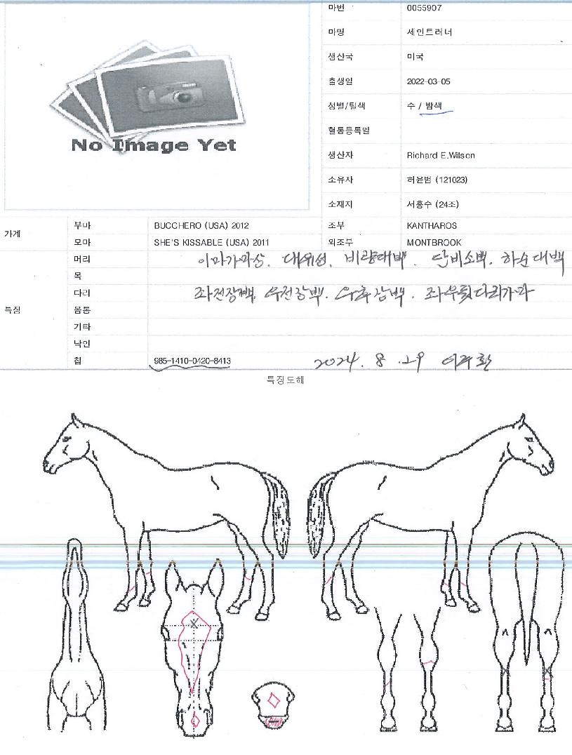 ����Ʈ������ ����,���,�޸�,�λ�,�ٸ��� Ư¡����