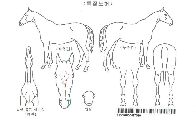 �ƴ㽺�����ڸ��� ����,���,�޸�,�λ�,�ٸ��� Ư¡����