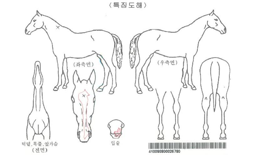 �����̵������� ����,���,�޸�,�λ�,�ٸ��� Ư¡����