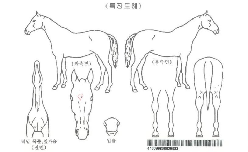 ½ºÆä¼ÈÂù½ºÀÚ¸¶ÀÇ Ãø¸é,¿ì¸é,µÞ¸é,µÎ»ó,´Ù¸®ÀÇ Æ¯Â¡µµÇØ