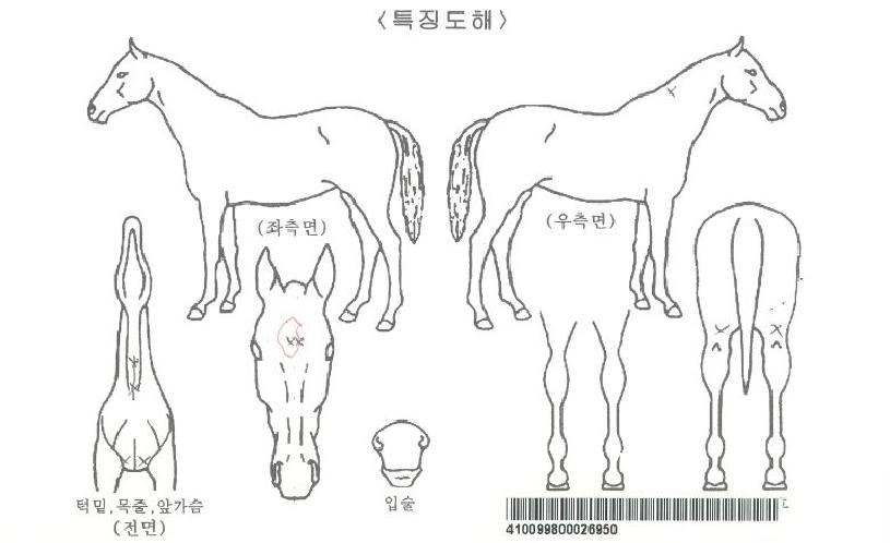 ������̳���ڸ��� ����,���,�޸�,�λ�,�ٸ��� Ư¡����