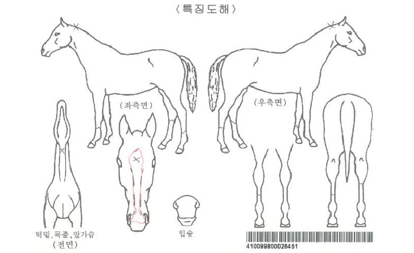 ���ȭ���ڸ��� ����,���,�޸�,�λ�,�ٸ��� Ư¡����