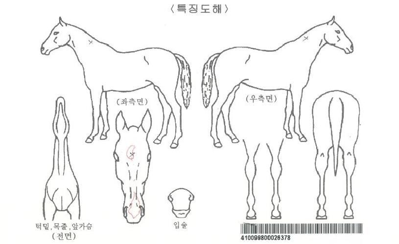 �ݺ��¸��ڸ��� ����,���,�޸�,�λ�,�ٸ��� Ư¡����