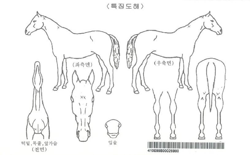 ���������� ����,���,�޸�,�λ�,�ٸ��� Ư¡����