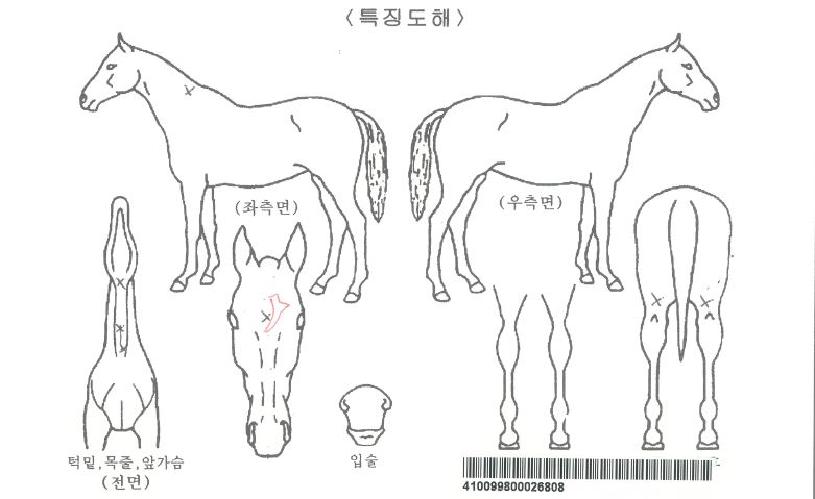 ¿øµð·º¼Ç¼ÛÀÚ¸¶ÀÇ Ãø¸é,¿ì¸é,µÞ¸é,µÎ»ó,´Ù¸®ÀÇ Æ¯Â¡µµÇØ