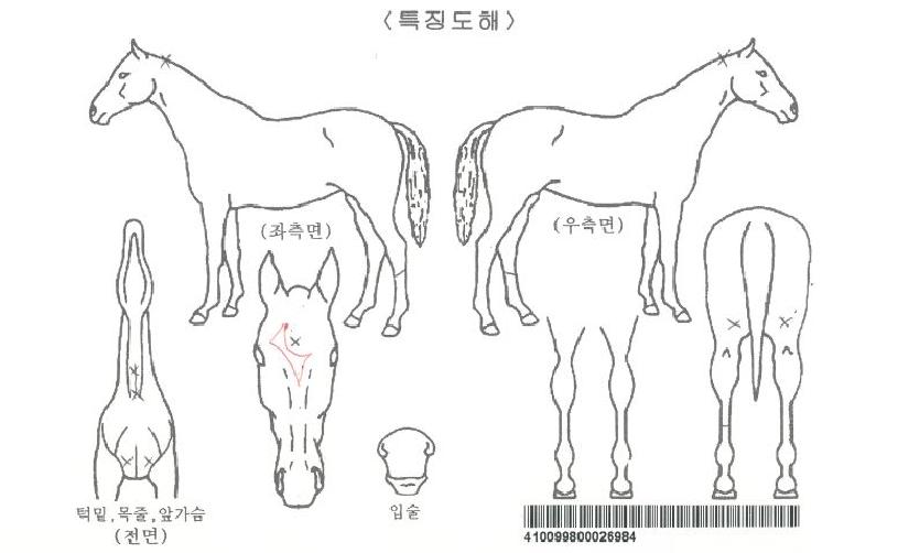 ½ºÀ§Æ®¾î°ÔÀÎÀÚ¸¶ÀÇ Ãø¸é,¿ì¸é,µÞ¸é,µÎ»ó,´Ù¸®ÀÇ Æ¯Â¡µµÇØ