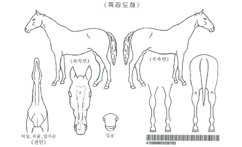 Ŭ¸®¾î°ËÀÚ¸¶ÀÇ Ãø¸é,¿ì¸é,µÞ¸é,µÎ»ó,´Ù¸®ÀÇ Æ¯Â¡µµÇØ