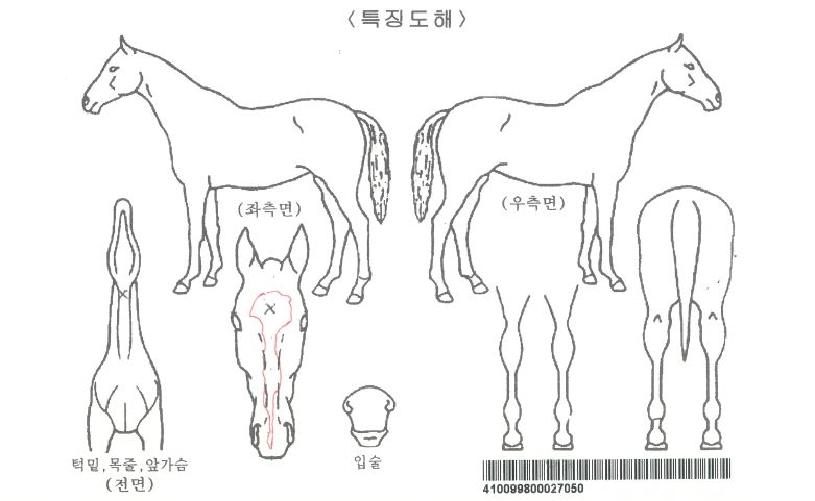 ��Ŭ���Ϻ��̺��ڸ��� ����,���,�޸�,�λ�,�ٸ��� Ư¡����