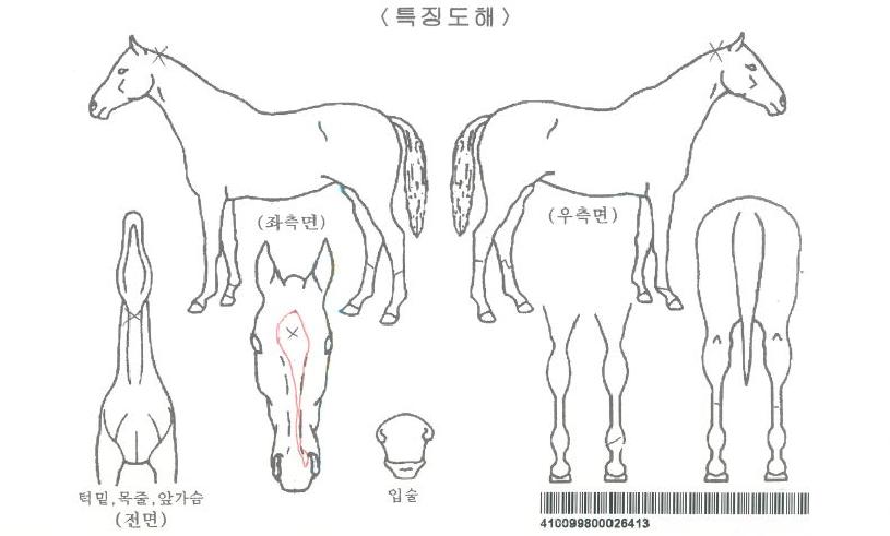 �λ��ڸ��� ����,���,�޸�,�λ�,�ٸ��� Ư¡����