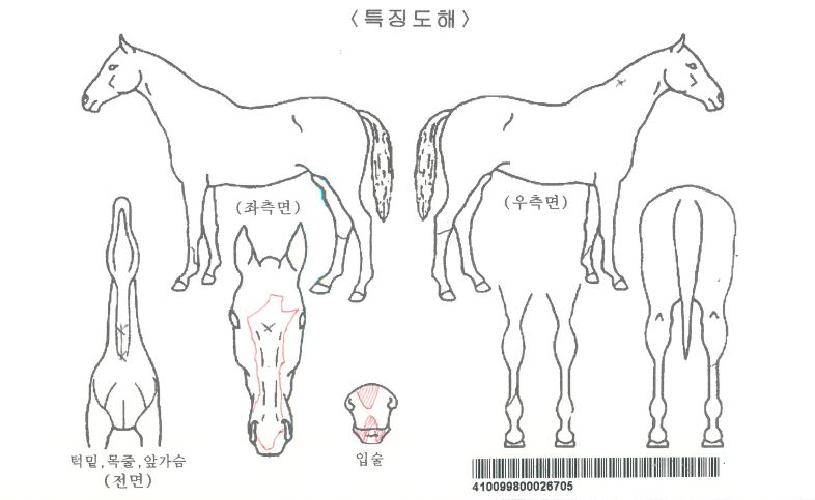 õ������ڸ��� ����,���,�޸�,�λ�,�ٸ��� Ư¡����