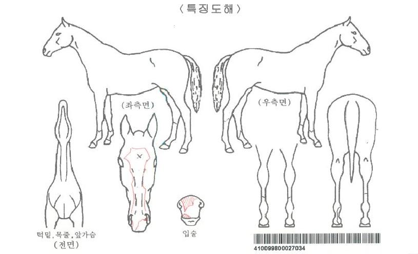 ¸ó½ºÅÍÄýÀÚ¸¶ÀÇ Ãø¸é,¿ì¸é,µÞ¸é,µÎ»ó,´Ù¸®ÀÇ Æ¯Â¡µµÇØ