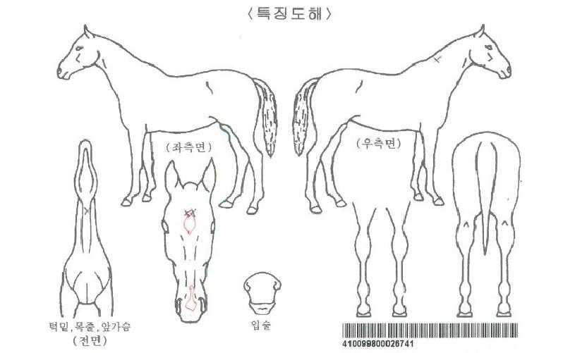 �����ǳ����ڸ��� ����,���,�޸�,�λ�,�ٸ��� Ư¡����