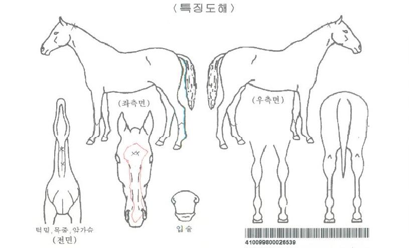 �������ڸ��� ����,���,�޸�,�λ�,�ٸ��� Ư¡����