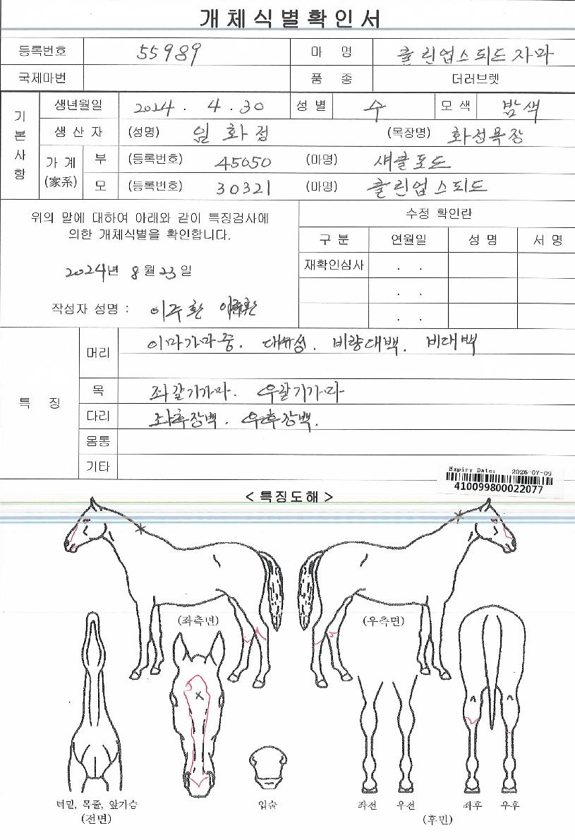 Ŭ¸°¾÷½ºÇǵåÀÚ¸¶ÀÇ Ãø¸é,¿ì¸é,µÞ¸é,µÎ»ó,´Ù¸®ÀÇ Æ¯Â¡µµÇØ