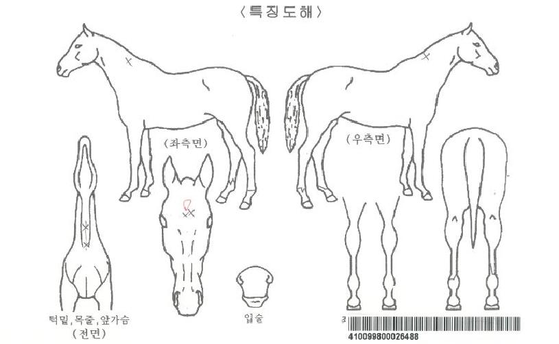 µ·ÆÐ½ºÀúÁö¸ÕÆ®ÀÚ¸¶ÀÇ Ãø¸é,¿ì¸é,µÞ¸é,µÎ»ó,´Ù¸®ÀÇ Æ¯Â¡µµÇØ