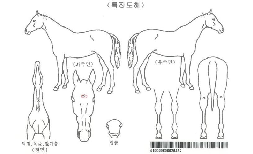 »þÀÎŬ·Î¹öÀÚ¸¶ÀÇ Ãø¸é,¿ì¸é,µÞ¸é,µÎ»ó,´Ù¸®ÀÇ Æ¯Â¡µµÇØ