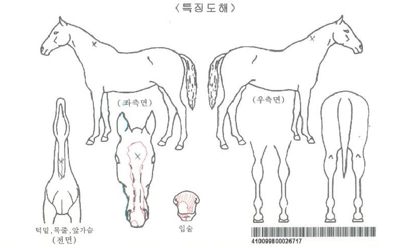 ���̵𵵸����ڸ��� ����,���,�޸�,�λ�,�ٸ��� Ư¡����