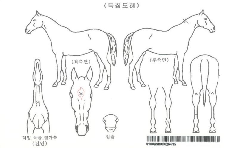 �Ѱ��������ڸ��� ����,���,�޸�,�λ�,�ٸ��� Ư¡����