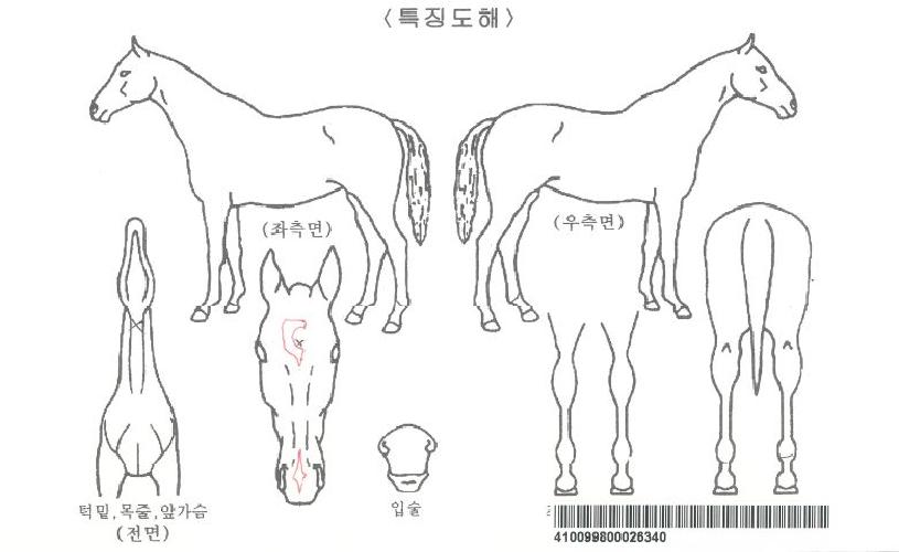 ����׷���Ʈ�÷��ڸ��� ����,���,�޸�,�λ�,�ٸ��� Ư¡����