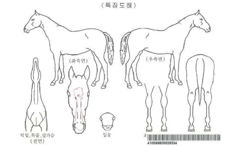 �����������ڸ��� ����,���,�޸�,�λ�,�ٸ��� Ư¡����