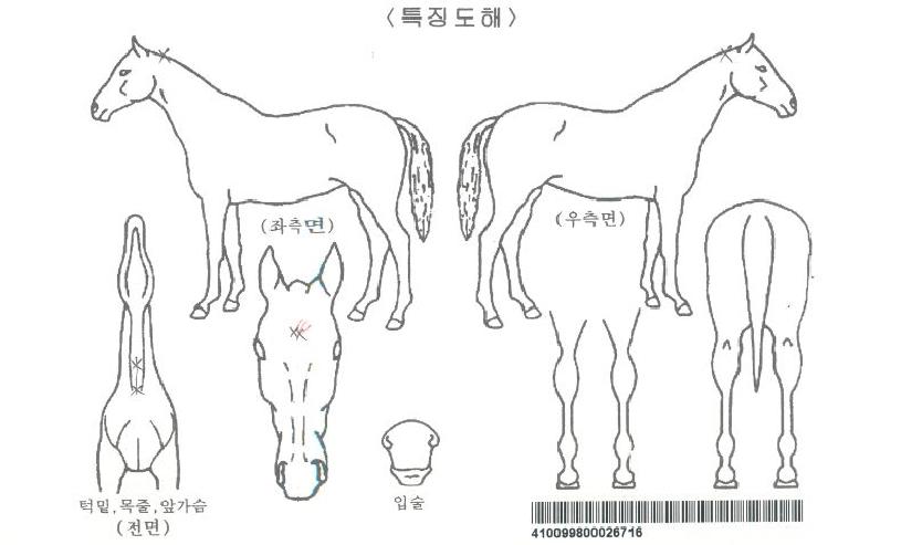 ���ð���ڸ��� ����,���,�޸�,�λ�,�ٸ��� Ư¡����