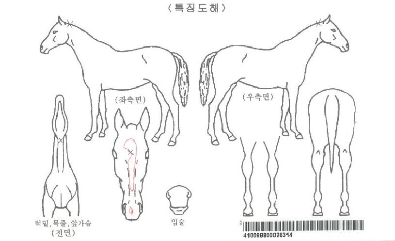 ���ѿ����ڸ��� ����,���,�޸�,�λ�,�ٸ��� Ư¡����